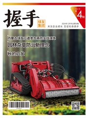 2024第4期